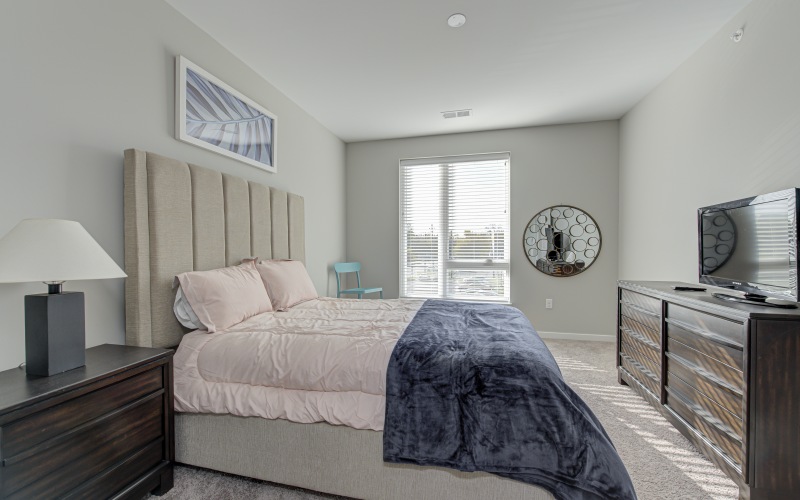 Apartment bedroom with furniture and carpet